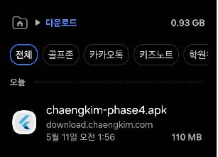 다운로드 폴더 안 챙김 APK 파일